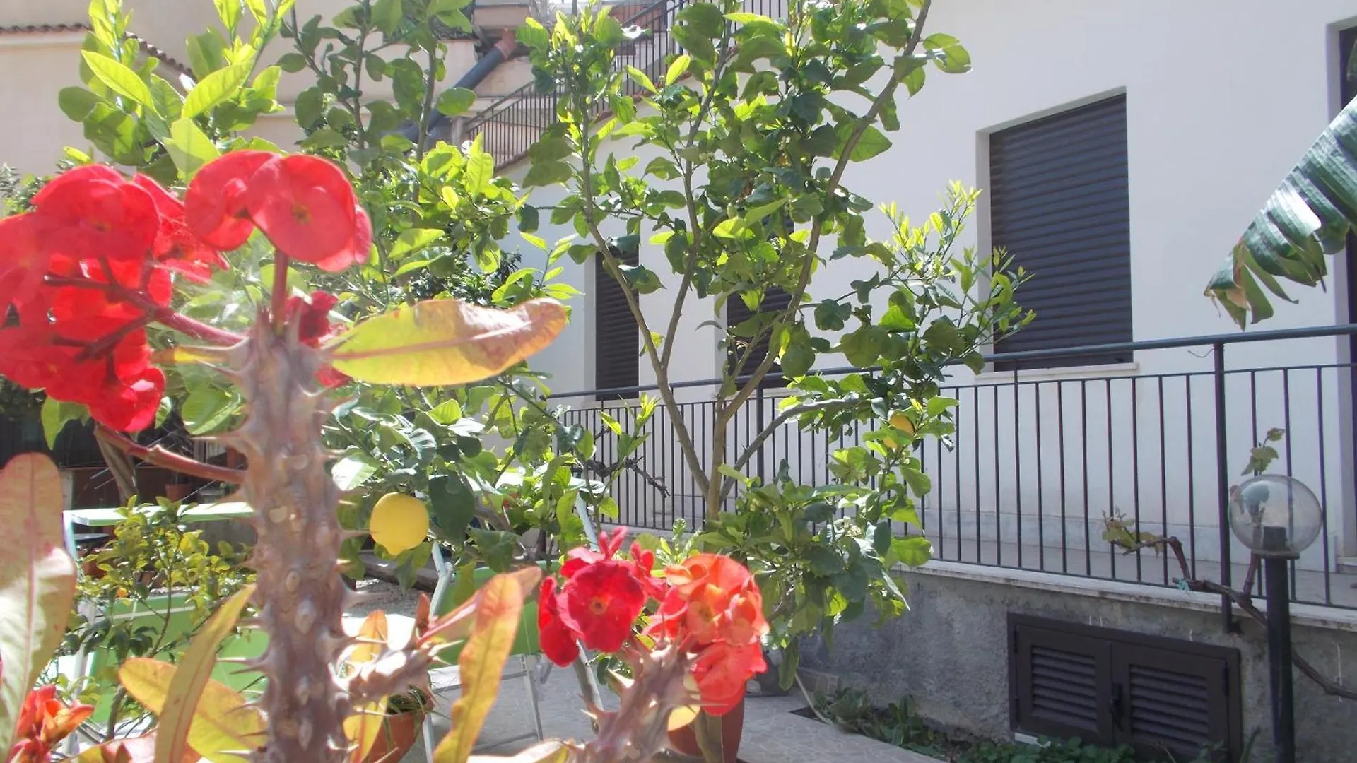 Villa Il Melograno タオルミーナ